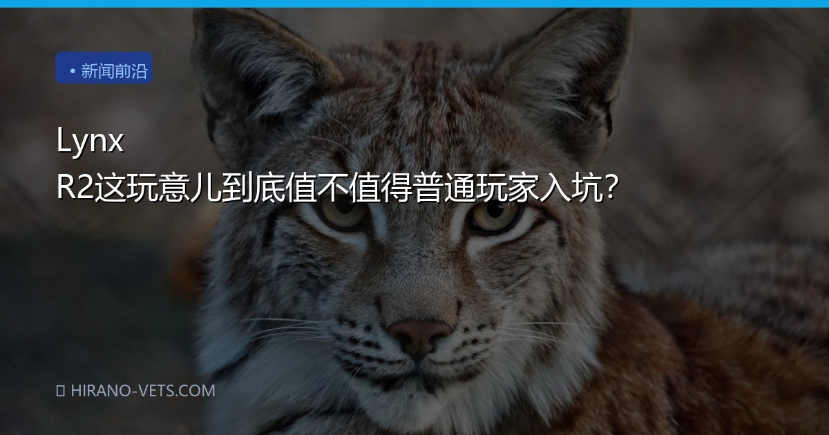 Lynx R2这玩意儿到底值不值得普通玩家入坑？