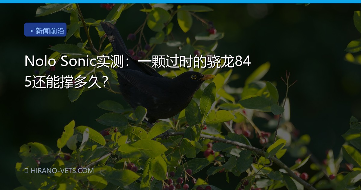 Nolo Sonic实测：一颗过时的骁龙845还能撑多久？