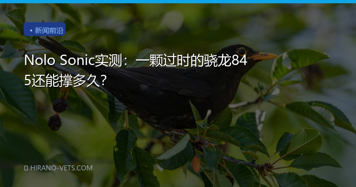 Nolo Sonic实测：一颗过时的骁龙845还能撑多久？