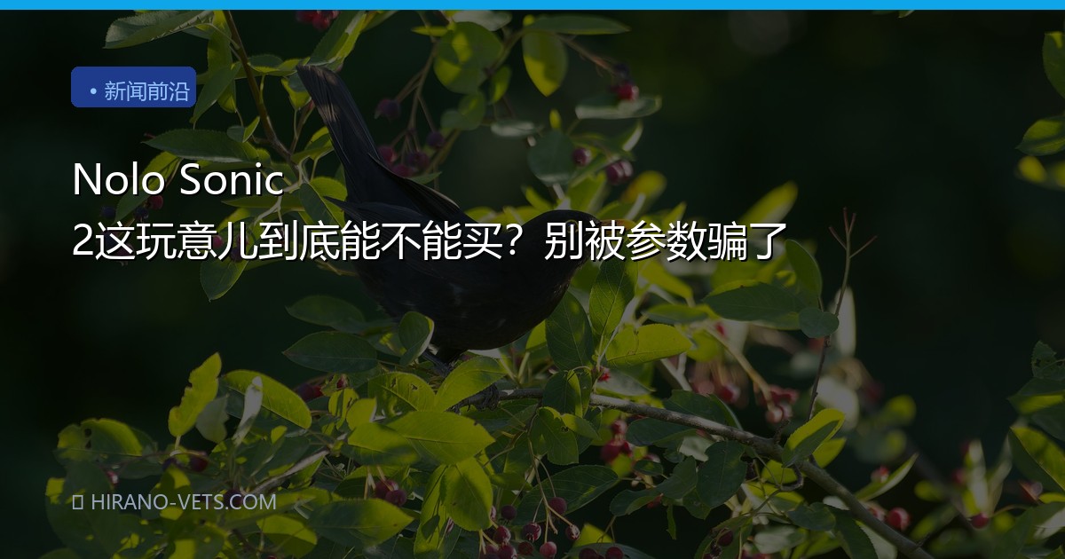 Nolo Sonic 2这玩意儿到底能不能买？别被参数骗了