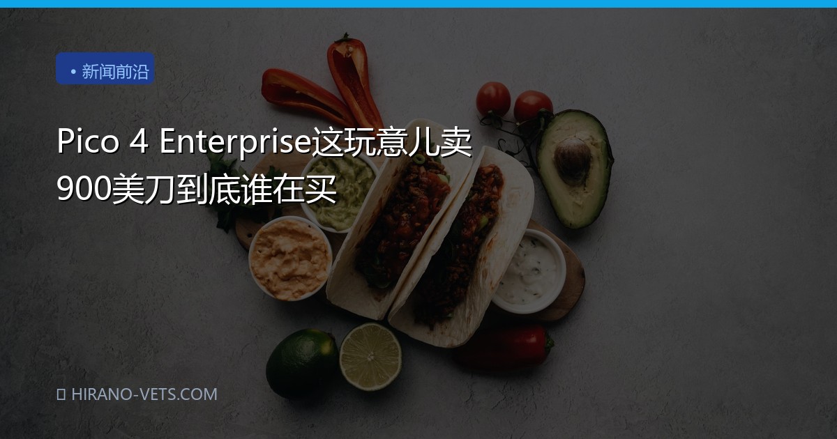 Pico 4 Enterprise这玩意儿卖900美刀到底谁在买