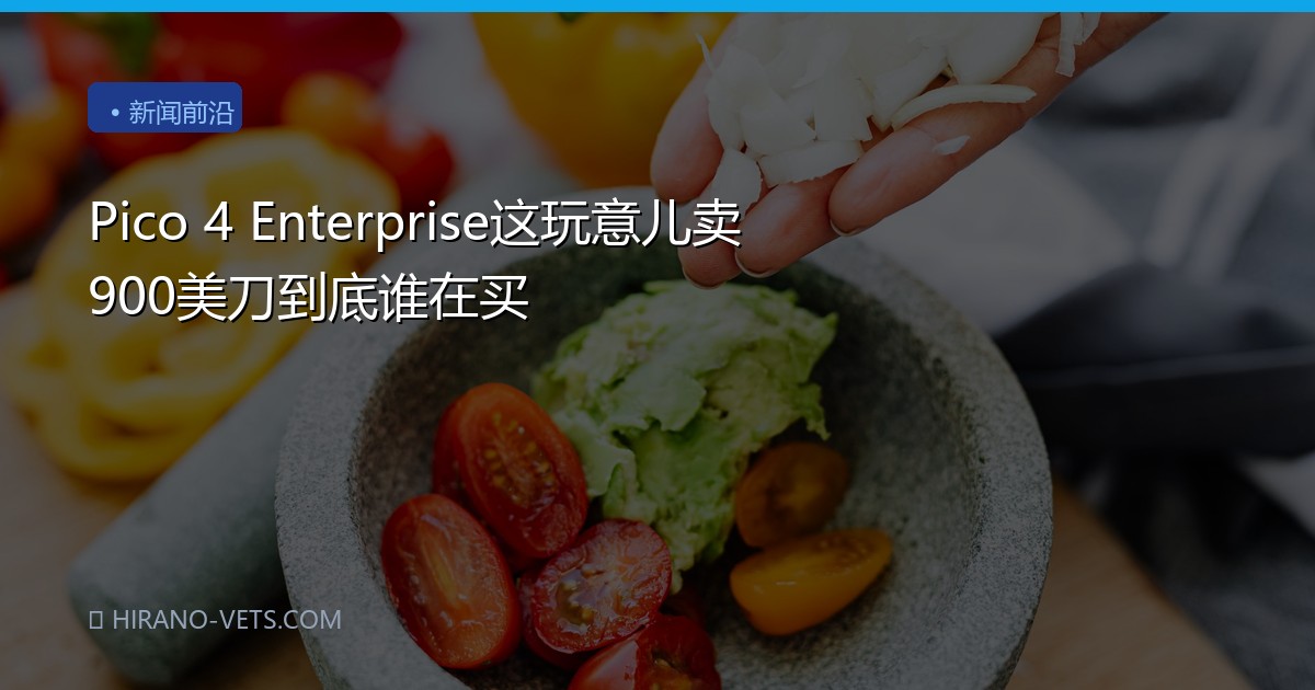 Pico 4 Enterprise这玩意儿卖900美刀到底谁在买