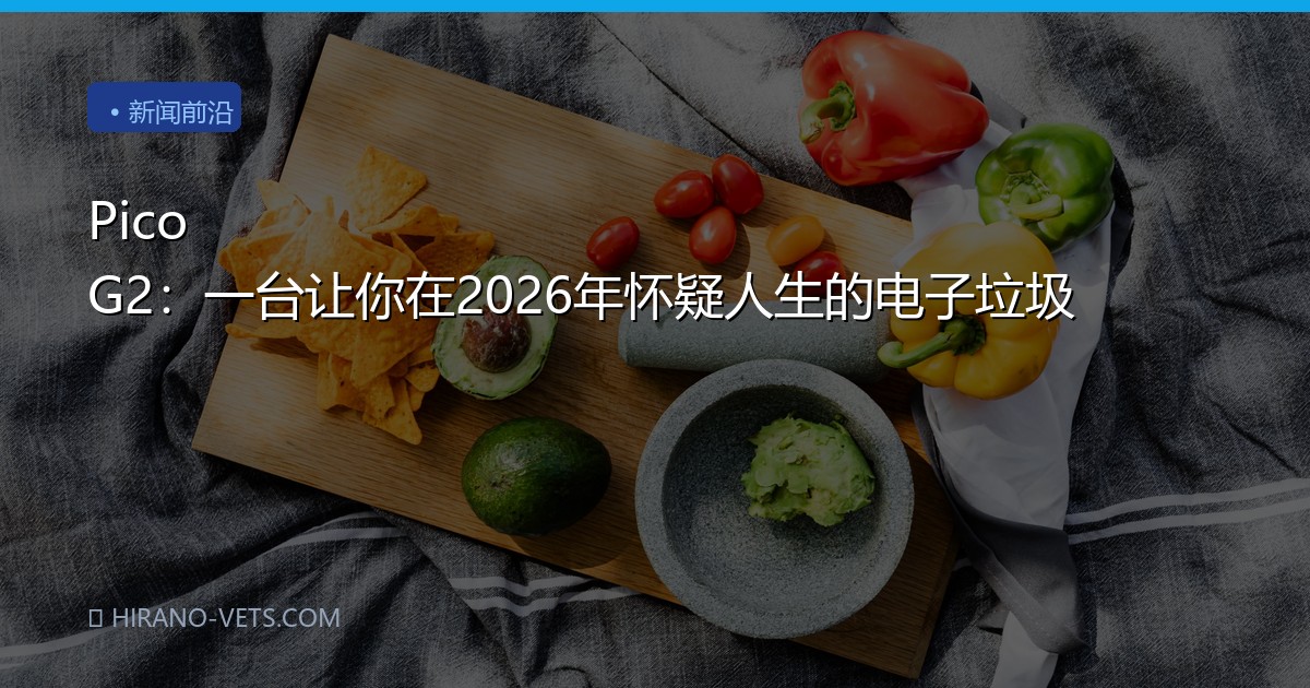 Pico G2：一台让你在2026年怀疑人生的电子垃圾