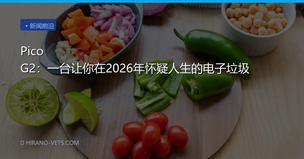 Pico G2：一台让你在2026年怀疑人生的电子垃圾