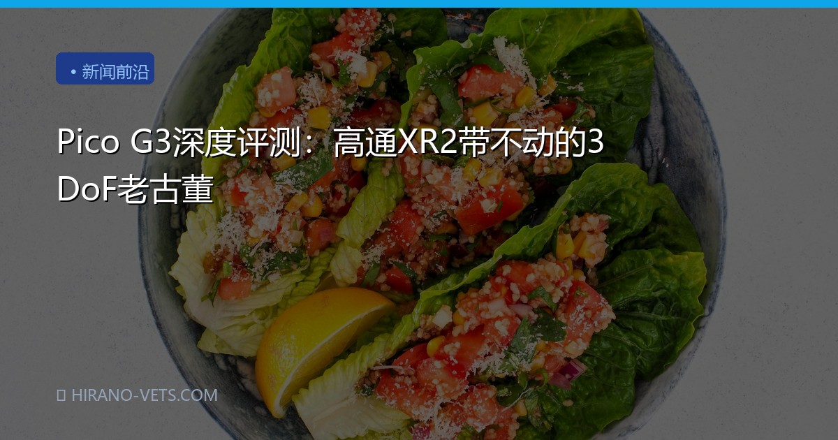 Pico G3深度评测：高通XR2带不动的3DoF老古董