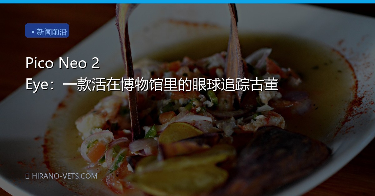 Pico Neo 2 Eye：一款活在博物馆里的眼球追踪古董