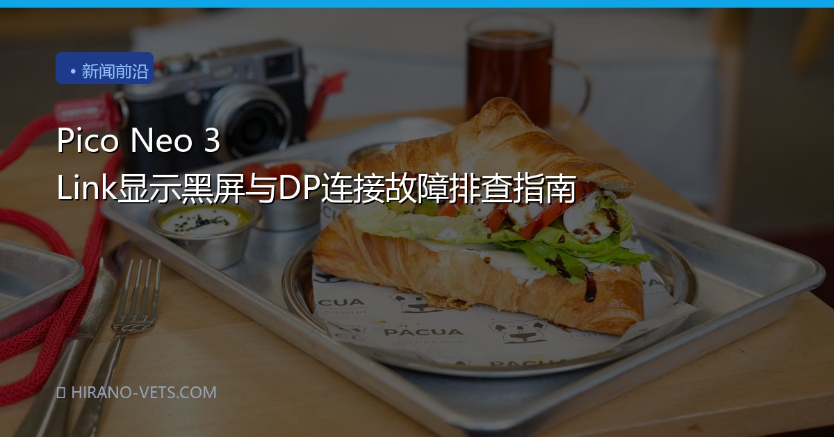 Pico Neo 3 Link显示黑屏与DP连接故障排查指南