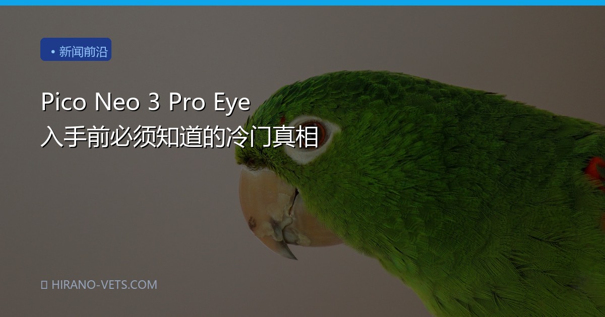 Pico Neo 3 Pro Eye 入手前必须知道的冷门真相